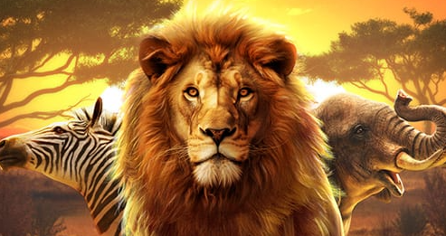 Safari Wilds, slot online, aventura na selva, bônus de rodadas grátis, jogos bônus, estratégias de slots, tema de safári, símbolos especiais, gráficos impressionantes, ganhos em slots